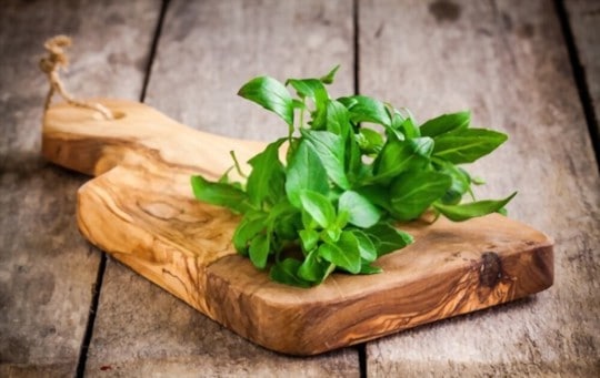 Basil Hayden vs. Scotch: Unraveling the Flavor Mystique