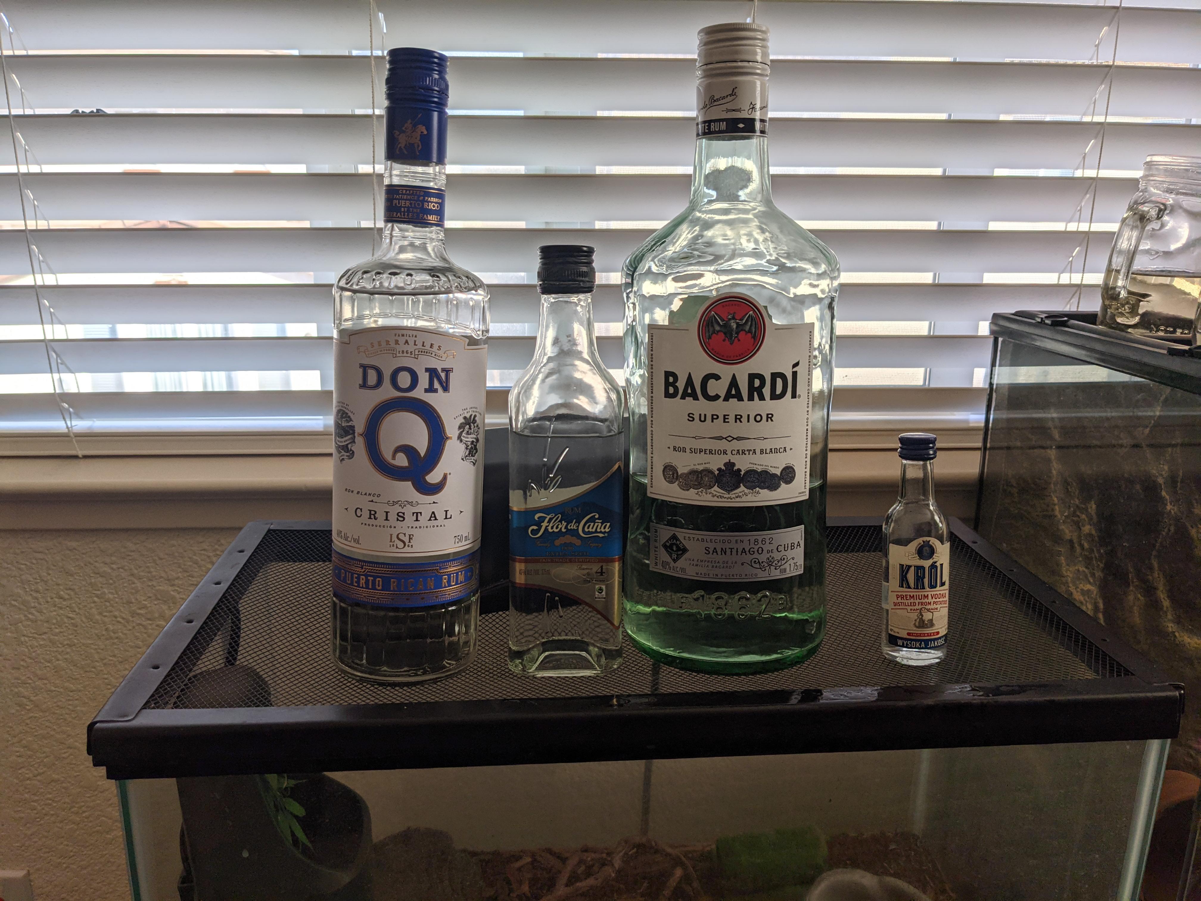 Don Q Vs  Bacardi: Which Rum Is The Better Choice?