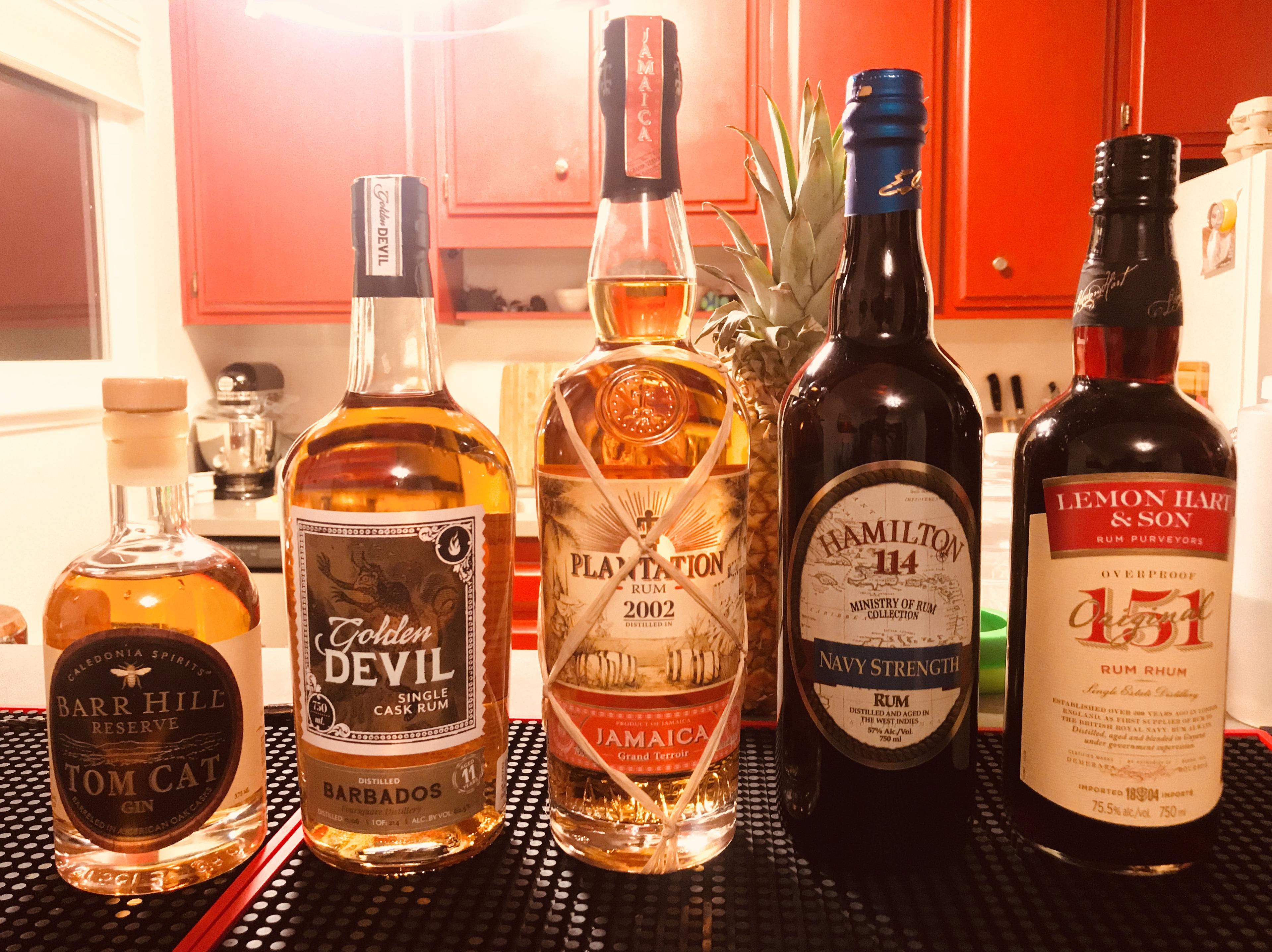 Gin Vs  Vodka: Which One Should You Use In Your Cocktail?