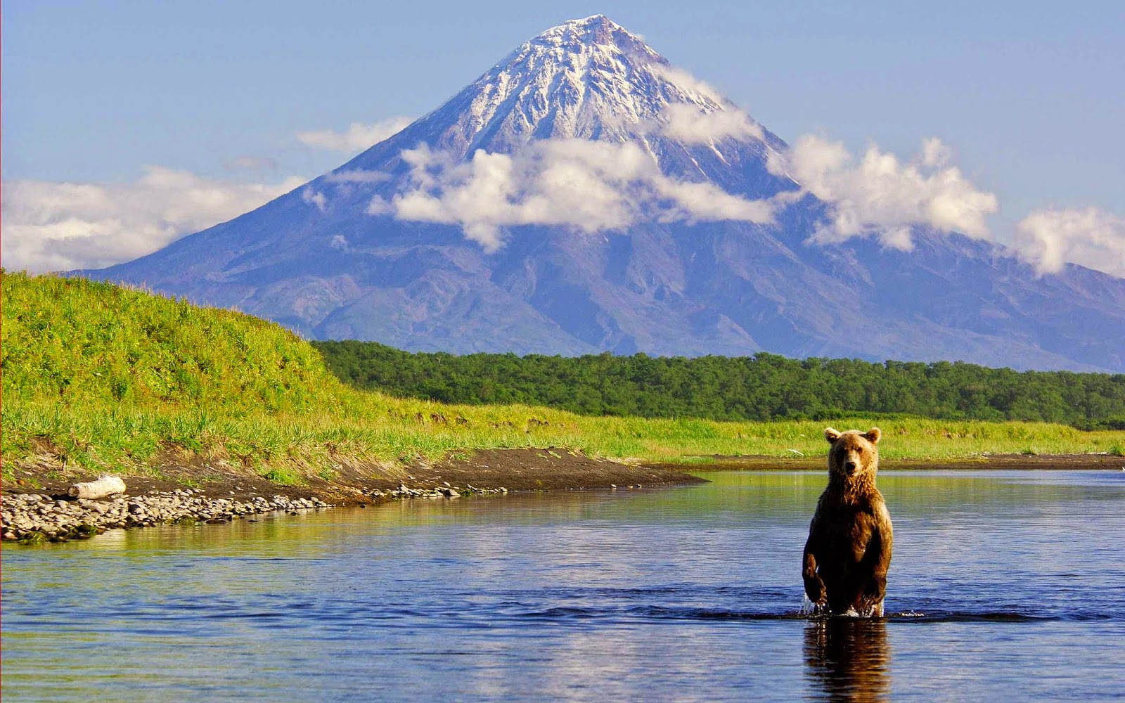 Does Kamchatka Have Sugar In It?