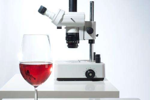 Red Wine: The Good  The Bad  And The Uncertain