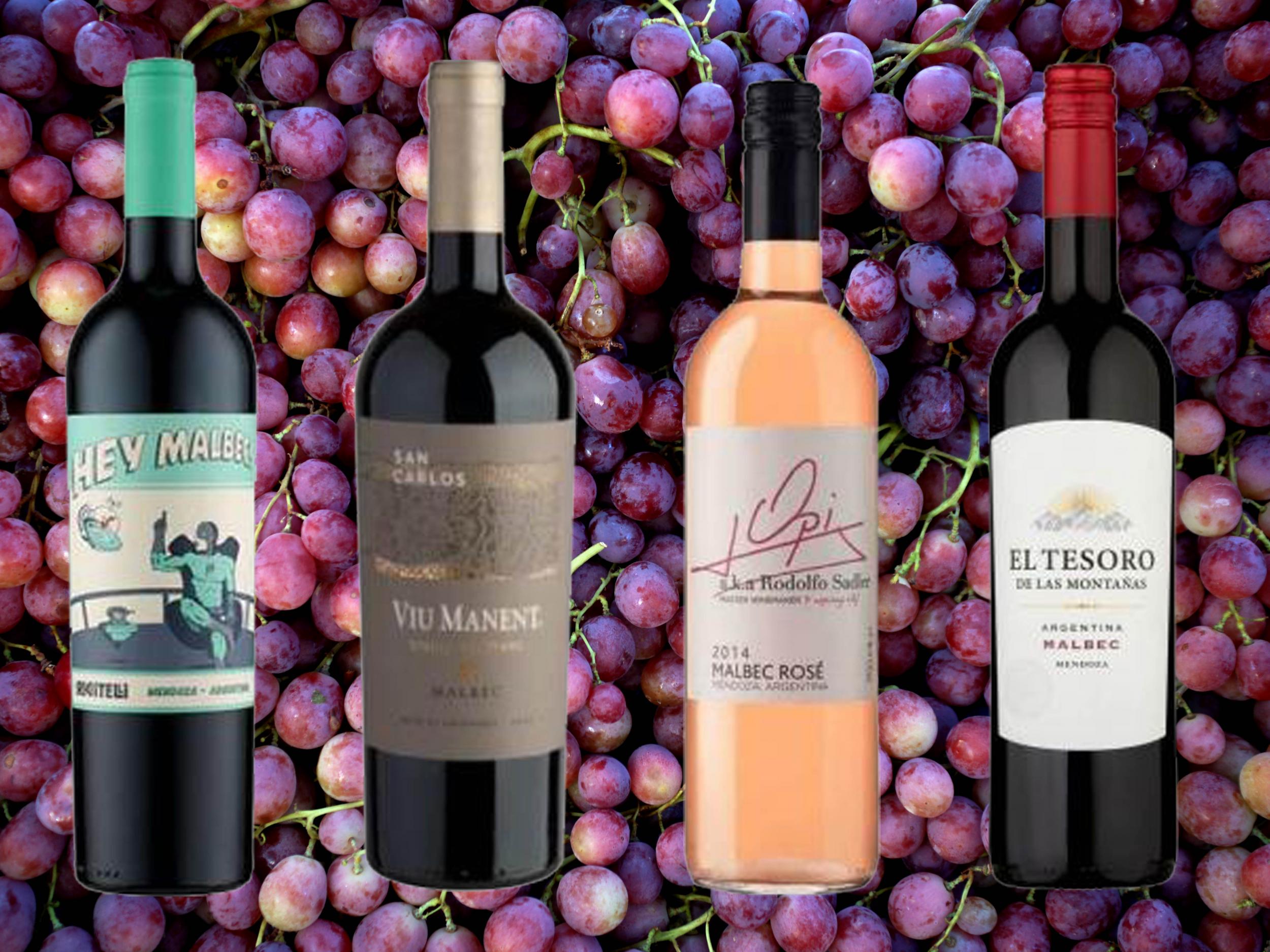 Is Malbec A Good Red Wine?