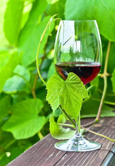 What Is The Driest Red Wine?