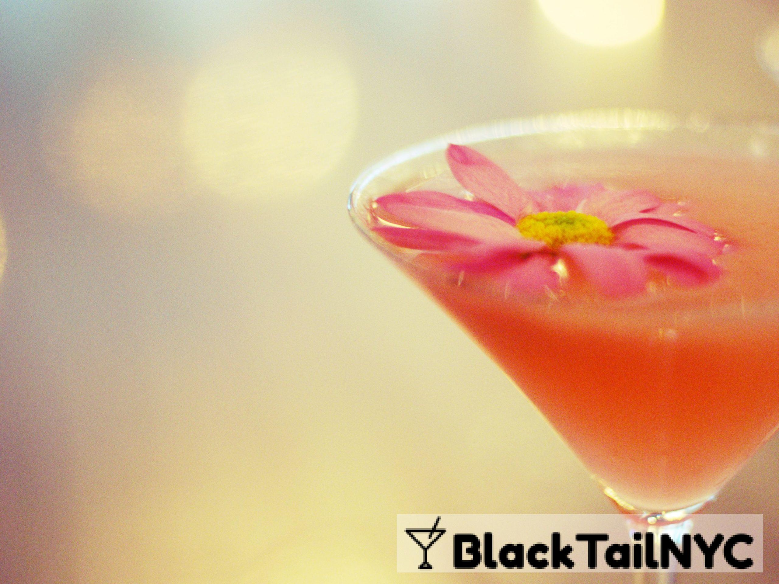 Paulista Cocktail Recipe