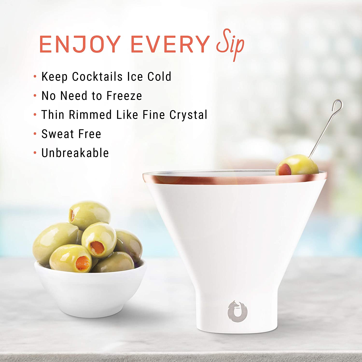 SNOWFOX Insulated Stainless Steel Martini Glasses