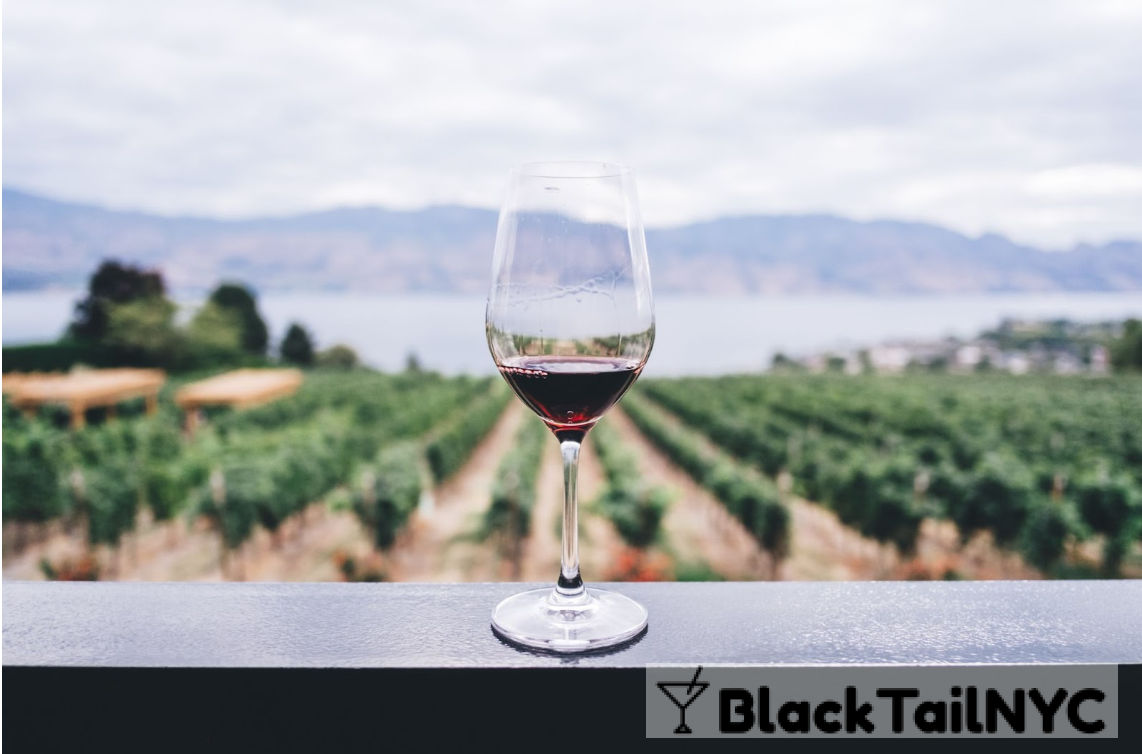 Top 8 Timeless Red Wine Bottles To Add To Your Liquor Cabinet